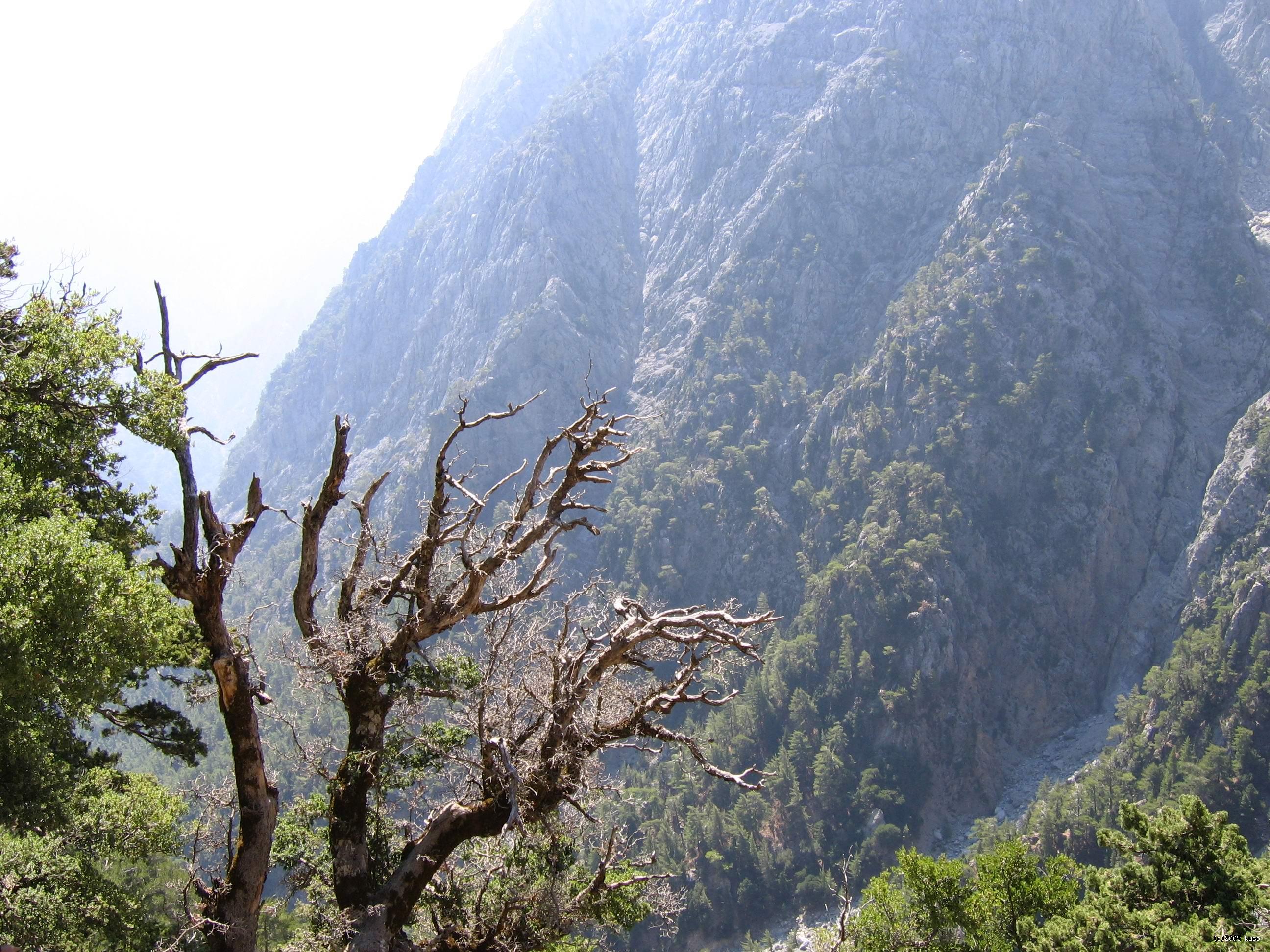 Po kliknut� sa zobraz� v plnej ve�kosti