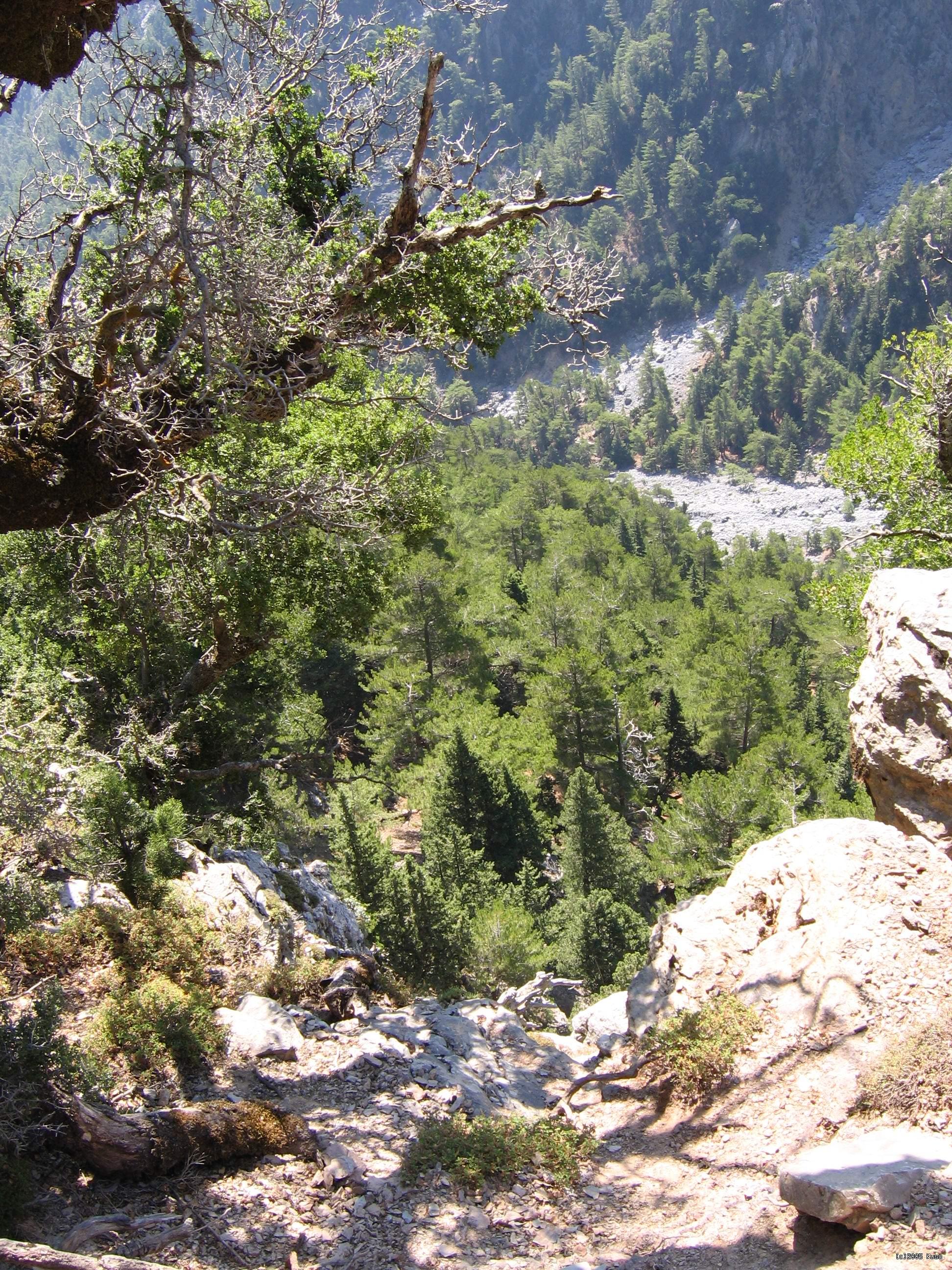 Po kliknut� sa zobraz� v plnej ve�kosti