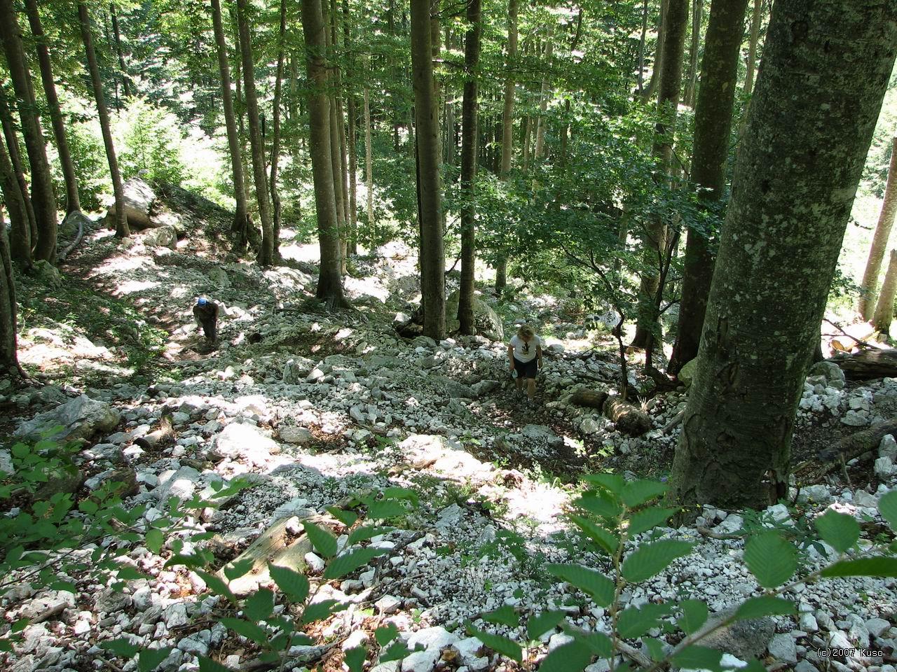 Po kliknut� sa zobraz� v plnej ve�kosti