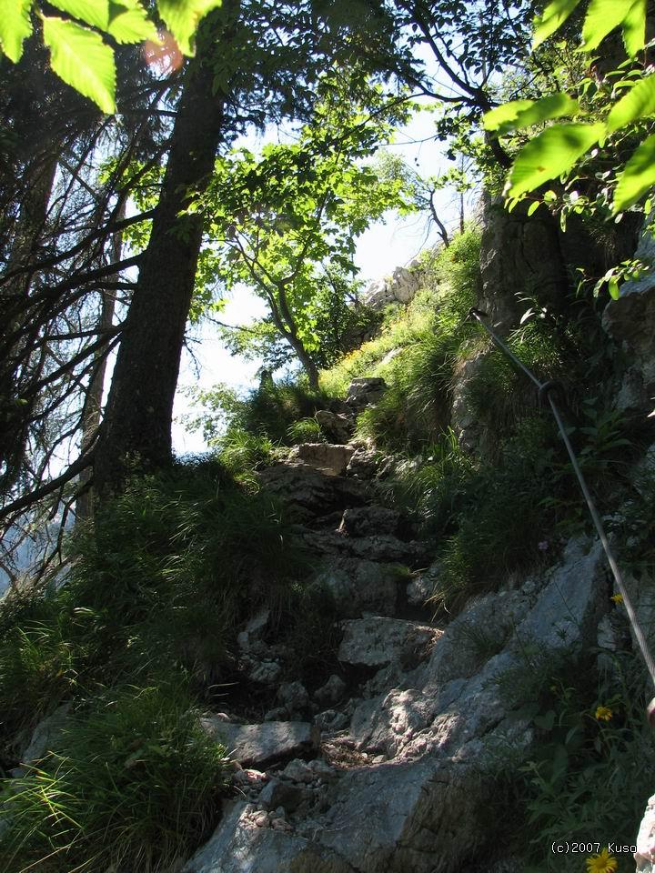 Po kliknut� sa zobraz� v plnej ve�kosti