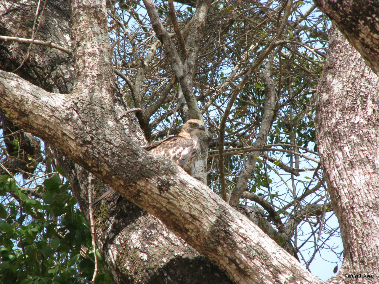 Po kliknut� sa zobraz� v plnej ve�kosti