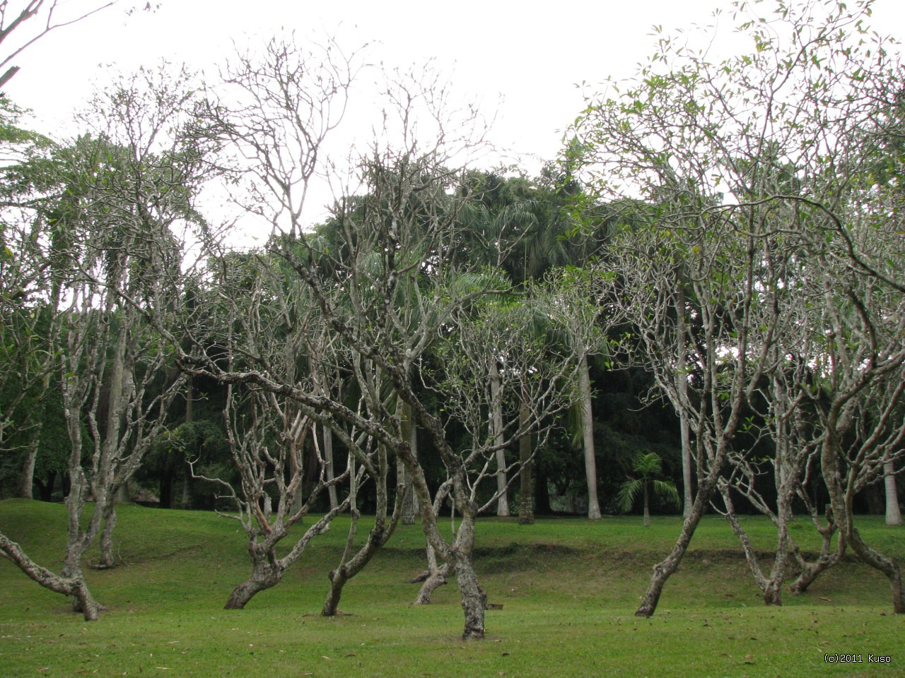 Po kliknut� sa zobraz� v plnej ve�kosti