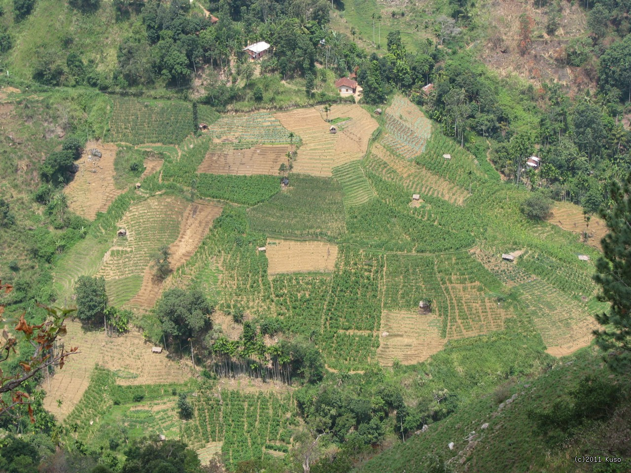 Po kliknut� sa zobraz� v plnej ve�kosti