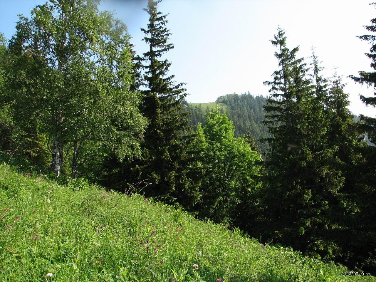 Po kliknut� sa zobraz� v plnej ve�kosti