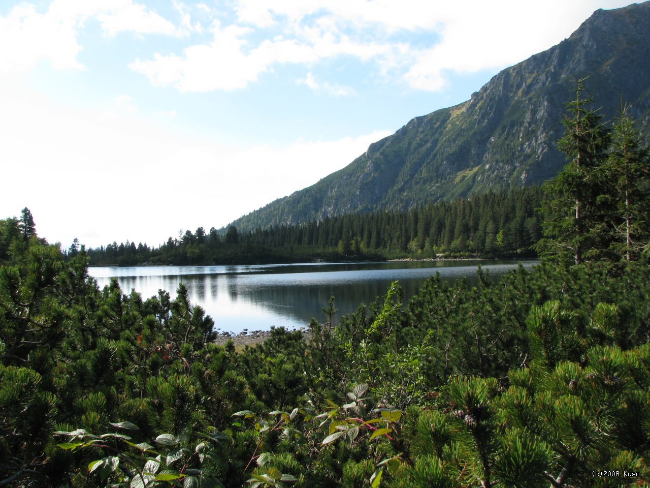 Po kliknut� sa zobraz� v plnej ve�kosti